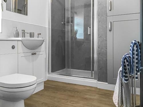 a bathroom with a shower and a toilet and a sink at Pen Y Bont in Rhuddlan