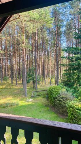 a view of a forest from a balcony with a bench at Domek Leśny Reset in Studzienice