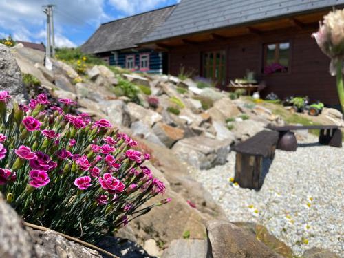 a garden with pink flowers in front of a building at Chata Dolina v Bachledke in Ždiar