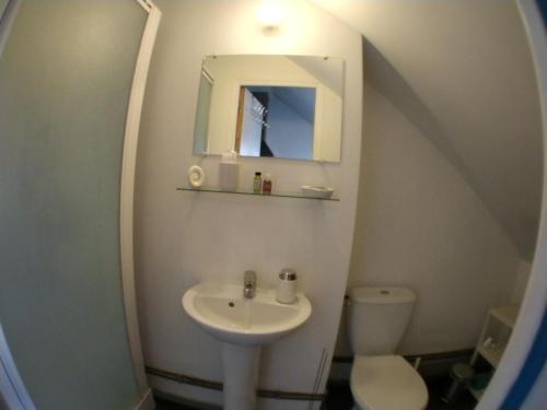 une salle de bain avec un lavabo, des toilettes et un miroir dans l'établissement Studio proche centre-ville et gare, à Amiens