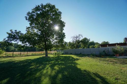 a tree in the middle of a grassy yard at Vila Puha in Vrakúň