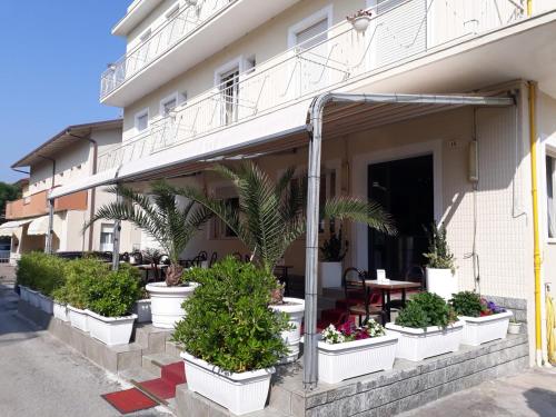 un grupo de plantas en macetas blancas fuera de un edificio en Hotel Villa Mon Reve, en Rímini