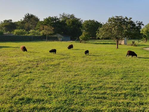 Appartement independant à Sarzeau Emplacement exceptionnel 4 couchages