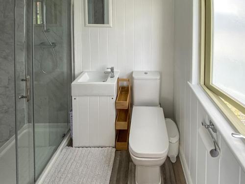 a bathroom with a toilet and a sink and a shower at Reed View in Fritton