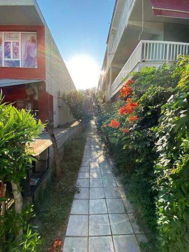 Κήπος έξω από το Quiet place near the Sea