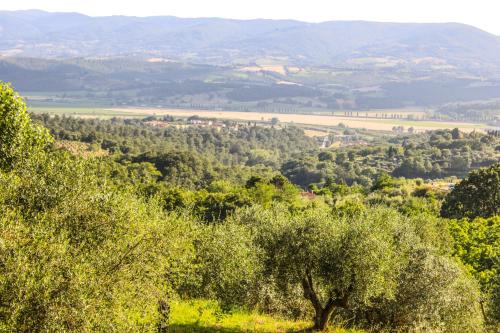 Φυσικό τοπίο κοντά σε αυτό το κατάλυμα σε φάρμα