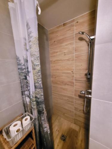 um chuveiro com 2 rolos de papel higiénico na casa de banho em Domek Seleny w Dolinie Symsarny em Lidzbark Warmiński