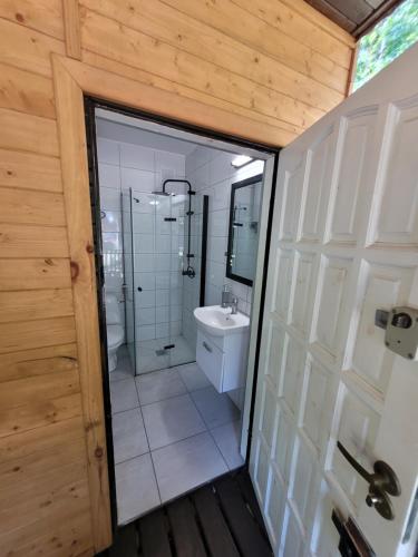 La salle de bains est pourvue d'une douche, de toilettes et d'un lavabo. dans l'établissement Domek Leśny w Dolinie Symsarny, à Lidzbark Warmiński