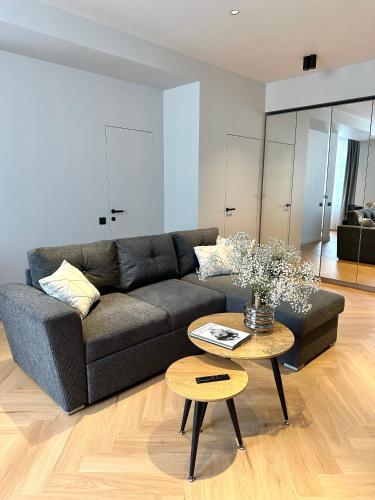 Et opholdsområde på Silver Apartment