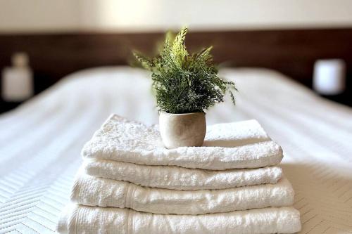 a potted plant sitting on top of a pile of towels at Departamento 2 ambientes full amenities + Cochera in Santa Cruz de la Sierra