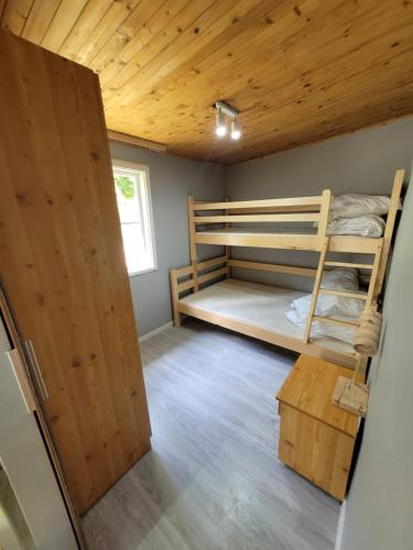 Katil dua tingkat atau katil-katil dua tingkat dalam bilik di Domek Leśny w Dolinie Symsarny