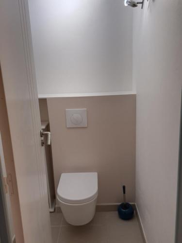 La salle de bains est pourvue de toilettes blanches. dans l'établissement la casa mangue, au Diamant