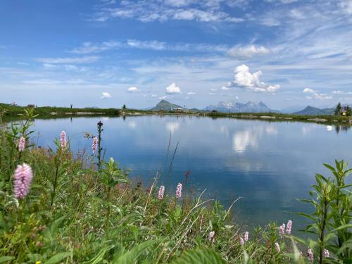 a view of a lake with mountains in the background at Skirast - Kirchberg in Kirchberg in Tirol