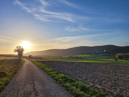 a dirt road in a field with the sun in the sky at Romantik-Home Nordelsass - Ferienwohnung für Selbstversorger in Oberhoffen-lès-Wissembourg