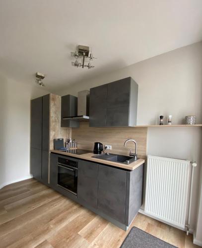 a kitchen with gray cabinets and a sink in it at Angenehmes Wohnen in Bad Bramstedt Appartement II in Bad Bramstedt