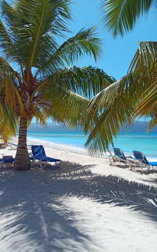 two chairs and a palm tree on a beach at BUNGALOWS COLIBRI in Las Galeras