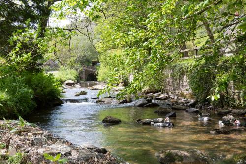 a river with people swimming in the water at Watermill Cottages - 18th Century converted Mill 10 mins from beach in Dartmouth