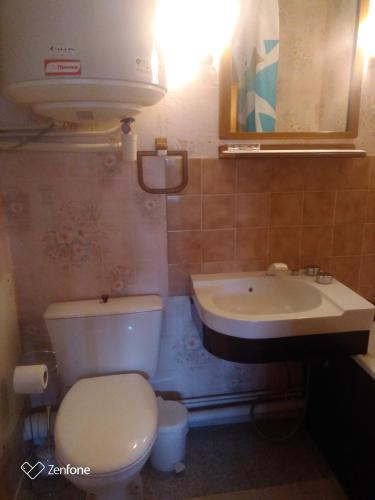 La salle de bains est pourvue de toilettes et d'un lavabo. dans l'établissement Résidence Super Deauville, à Villers-sur-Mer