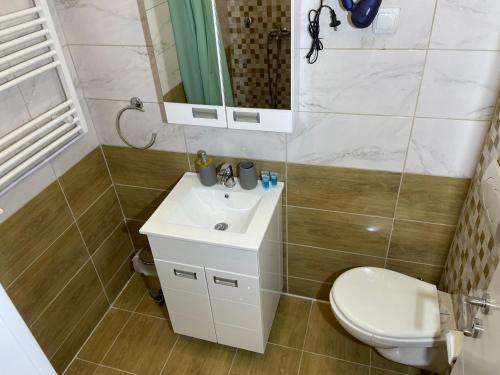 a bathroom with a sink and a toilet and a mirror at Bora Apartmani - FREE PARKING - CITY CENTER in Vranje