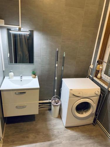 ein Badezimmer mit einer Waschmaschine und einem Waschbecken in der Unterkunft STUDIO DENAIN in Denain