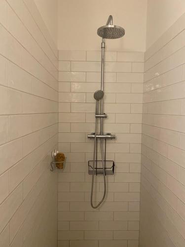 a shower with a shower head in a bathroom at Palava Holiday House in Šakvice