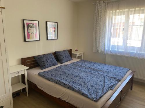 una camera da letto con un letto con lenzuola blu e una finestra di Palava Holiday House a Šakvice