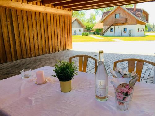 una botella de vino sentada en una mesa con una planta en Albergue Haid, 