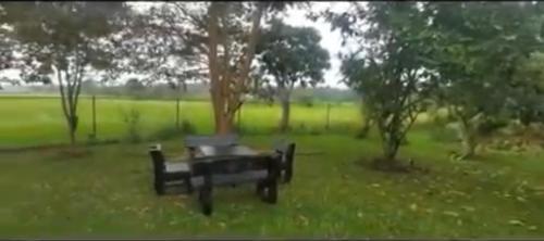 a picnic table in the grass in a field at Honey Dew Villa Minuwangoda in Balabowa
