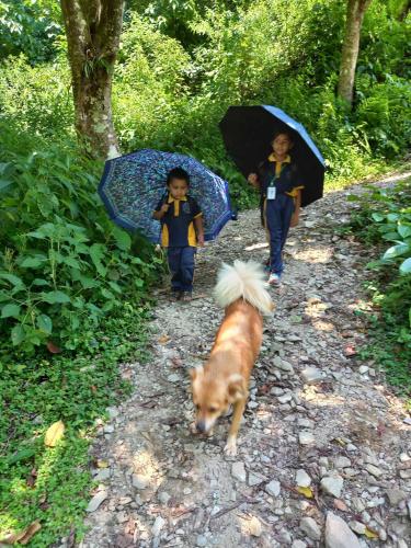 two children walking down a path with umbrellas and a dog at Riverside Homes in Deorāli