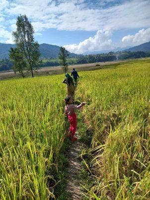 a child and a dog walking through a field at Riverside Homes in Deorāli