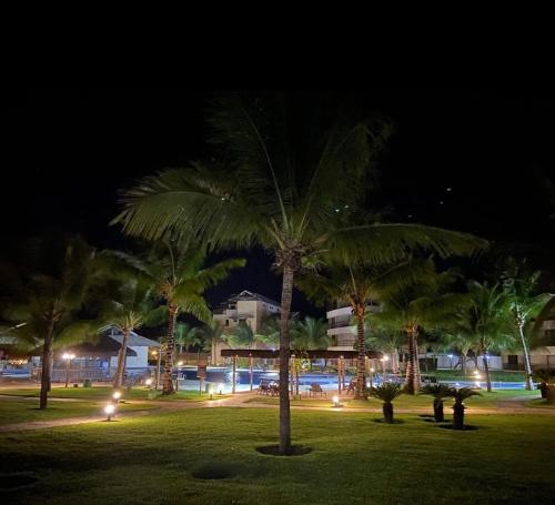 Ap no Beach Place Resort في أكويراز: مجموعة من أشجار النخيل في الحديقة في الليل