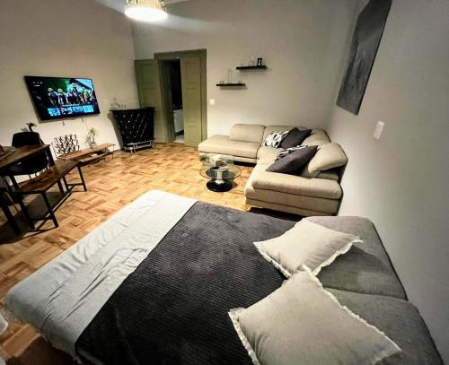 ein Wohnzimmer mit einem Bett und einem Sofa in der Unterkunft Karlín Apartmán in Prag
