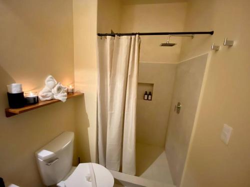 La salle de bains est pourvue d'un rideau de douche et de toilettes. dans l'établissement sunsteps purple room, à Holbox