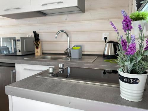 a kitchen counter with a sink and purple flowers at Comfortable holiday houses D bki in Dąbki