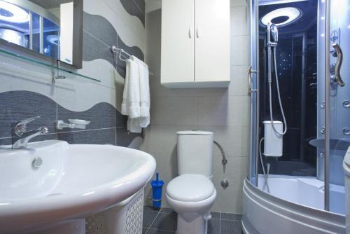 a bathroom with a sink and a toilet and a shower at Apartment Sahala in Tivat
