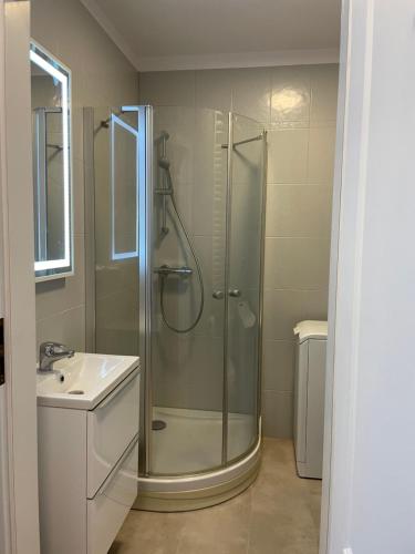 a bathroom with a shower and a sink at Apartament Dominikański Oliwa in Gdańsk