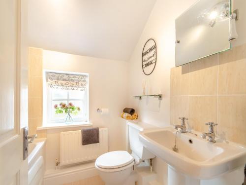 a bathroom with a toilet and a sink and a window at Raven Cottage in Barnard Castle