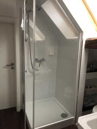a shower with a glass door in a bathroom at Ferienwohnung im 'Schmoller - Hof' in Neustadt an der Weinstraße