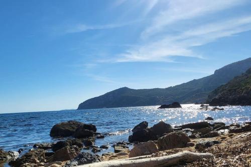 Φυσικό τοπίο κοντά σε αυτό το διαμέρισμα