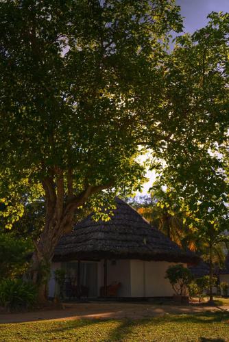 a hut with a thatched roof next to a tree at Hotel Cote d'or Lodge in Baie Sainte Anne