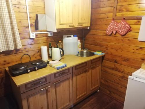 a kitchen with wooden cabinets and a counter top at Chatrč pod Babou in Křivoklát