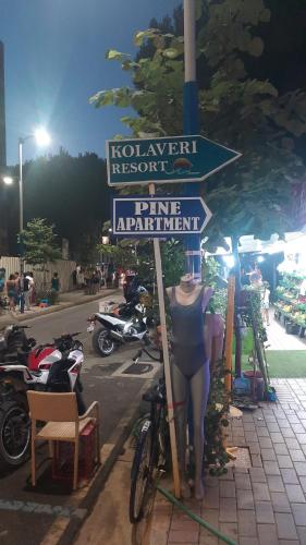 Gambar di galeri bagi Pine Apartment 2 plus 1 di Golem