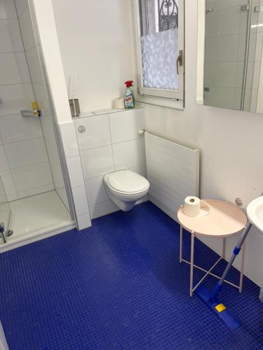 a bathroom with a toilet and a shower and a table at Guesthouse Juerg in Sempach