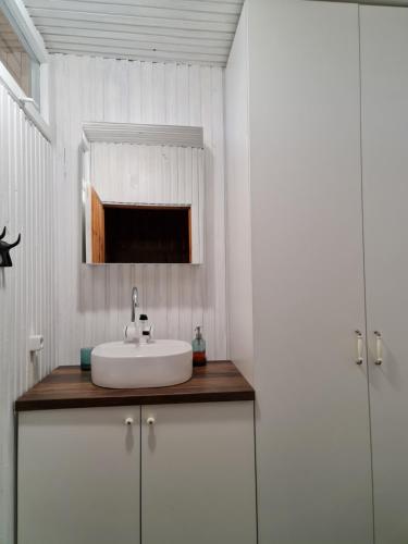 ein Bad mit einem Waschbecken und einem Spiegel in der Unterkunft Viesuliškės Lakeside Glamping in Lakaja