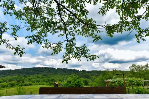 a bench in front of a view of a mountain at Apartment Ivano in Rakovica