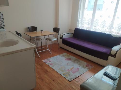een woonkamer met een paarse bank en een tafel bij Opium otel in Afyon