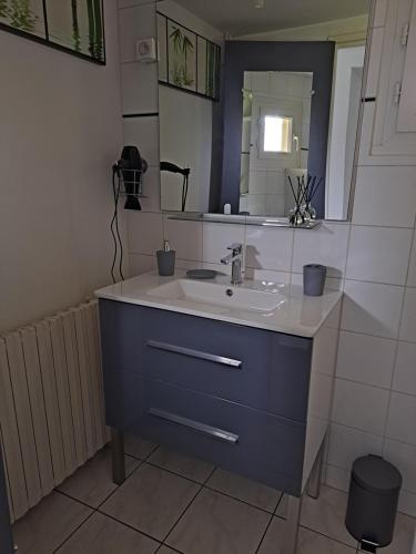 une salle de bain avec un lavabo et un miroir dans l'établissement L'hoste dou Lacq, à Lacq