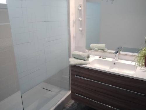ein Bad mit einem Waschbecken und einer Dusche in der Unterkunft Maison de vacances 4 chambres, jardin et toit terrasse in Peyriac-de-Mer