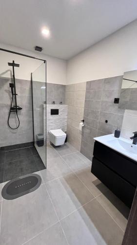 a bathroom with a shower and a sink and a toilet at Holdruta Vendégház in Kunfehértó