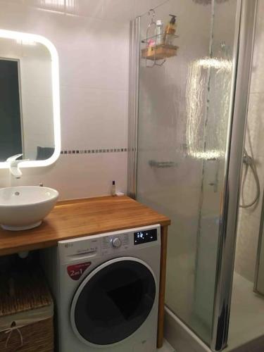 une salle de bain avec une machine à laver et un lavabo dans l'établissement Bord de Loire - Île de Nantes (parking inclus), à Nantes